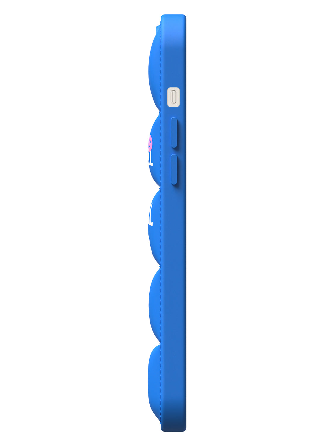 Blue puffer case